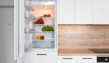 fridge with different vegetable in modern kitchen