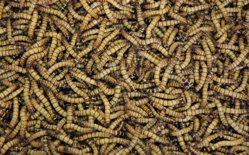 brown rope in close up photography