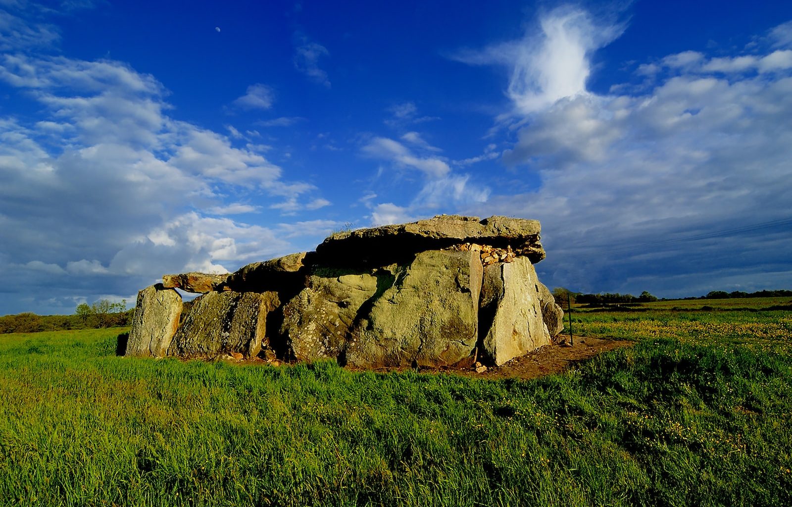 a large rock sitting on top of a lush green field