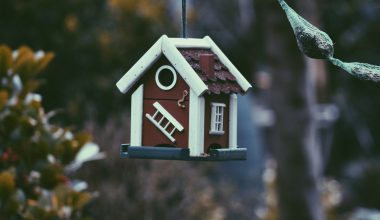 closeup photo of red and white bird house